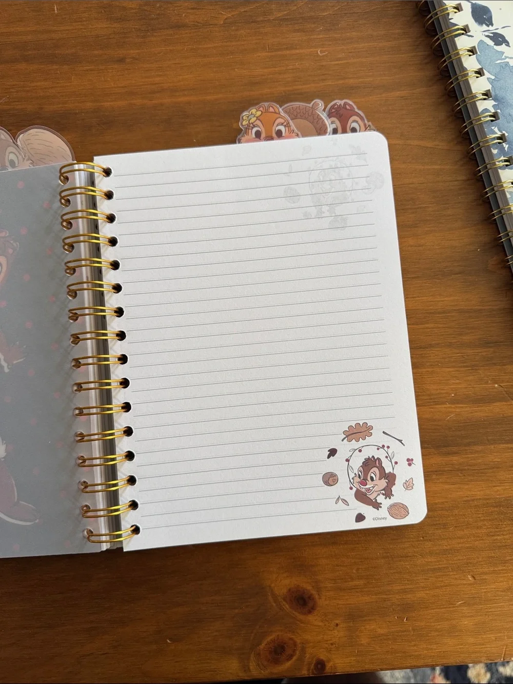 Disney Chip 'n' Dale Fall Leaf Spiral Notebook – Brown & Gold